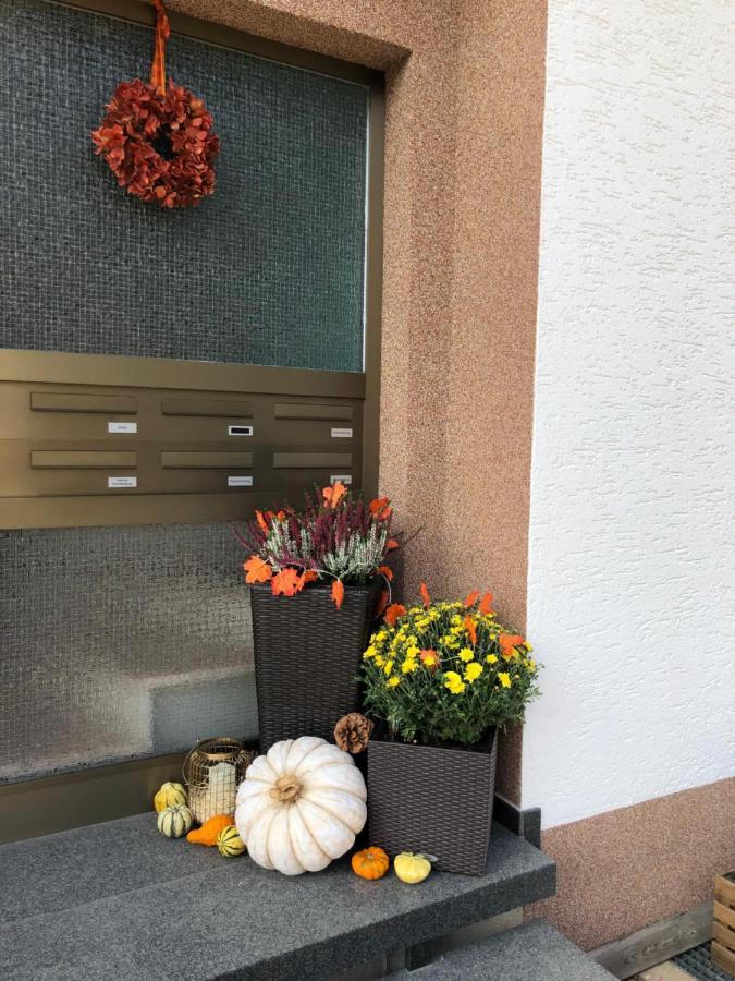 Appartamento Haus Cornelia Einruhr Esterno foto